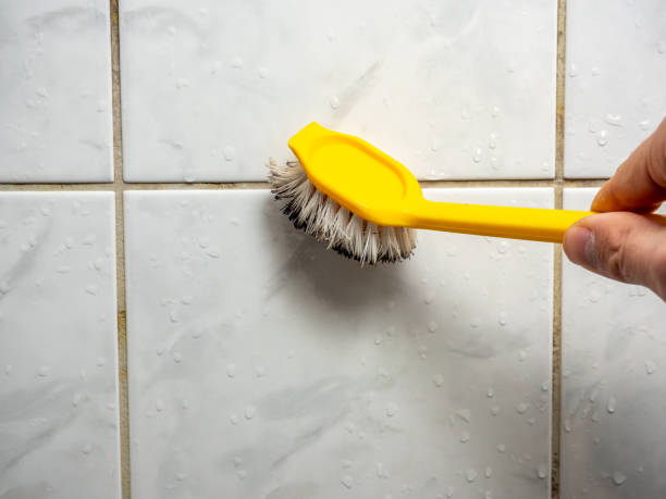 Best Commercial Mold Removal  in Fowler, IN