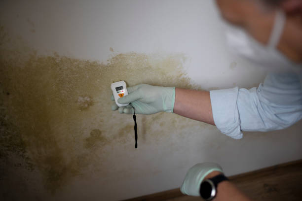 Mold Removal and Inspection in Fowler, IN