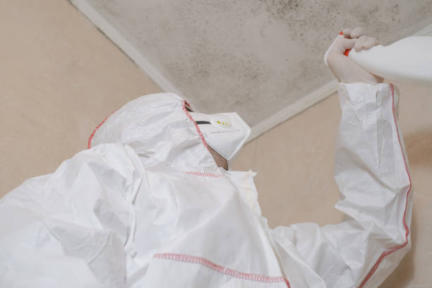 Best Toxic Mold Removal  in Fowler, IN